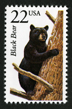 Black Bear United States Postage Stamp | North American Wildlife