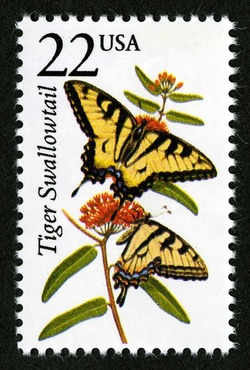 Tiger Swallowtail United States Postage Stamp | North American Wildlife