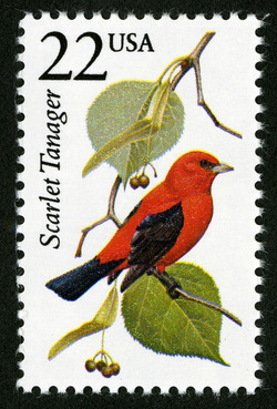 Scarlet Tanager United States Postage Stamp | North American Wildlife