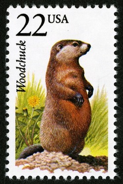 Woodchuck United States Postage Stamp | North American Wildlife