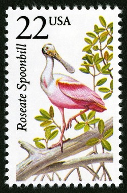 Roseate Spoonbill United States Postage Stamp | North American Wildlife