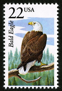 Bald Eagle United States Postage Stamp | North American Wildlife