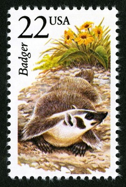 Badger United States Postage Stamp | North American Wildlife