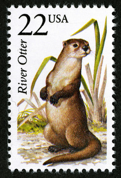 River Otter United States Postage Stamp | North American Wildlife