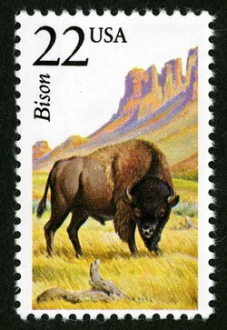 Bison United States Postage Stamp | North American Wildlife