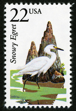 Snowy Egret United States Postage Stamp | North American Wildlife