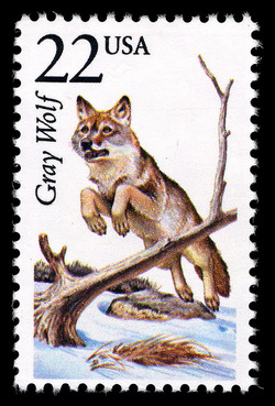 Gray Wolf United States Postage Stamp | North American Wildlife
