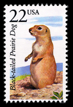 Black-tailed Prairie Dog United States Postage Stamp | North American Wildlife