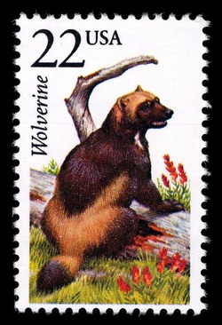 Wolverine United States Postage Stamp | North American Wildlife