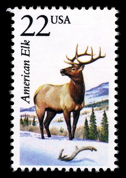 American Elk United States Postage Stamp | North American Wildlife