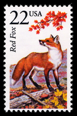 Red Fox United States Postage Stamp | North American Wildlife