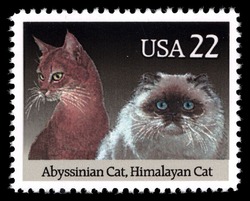 Abyssinian Cat and Himalayan Cat United States Postage Stamp | Cats