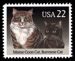 Maine Coon Cat and Burmese Cat United States Postage Stamp | Cats