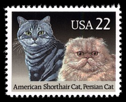 American Shorthair Cat and Persian Cat United States Postage Stamp | Cats