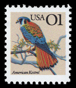 American Kestrel - 01 United States Postage Stamp