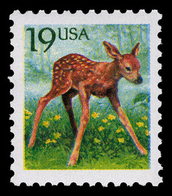 Fawn - Untagged United States Postage Stamp