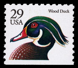 Wood Duck - Black Lettering United States Postage Stamp