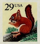 Red Squirrel United States Postage Stamp