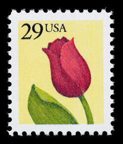 Flower - Tulip - Perf 11 United States Postage Stamp