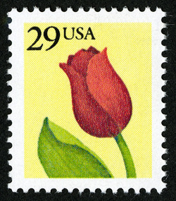 Flower - Tulip - Perf 12.75 United States Postage Stamp