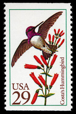Costa's Hummingbird United States Postage Stamp | Hummingbirds