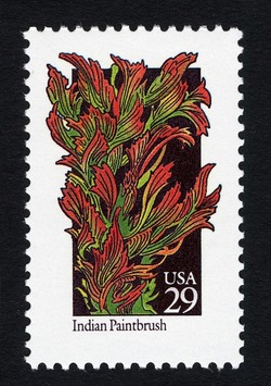 Indian Paintbrush United States Postage Stamp | Wildflowers