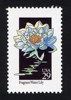 Fragrant Water Lily United States Postage Stamp | Wildflowers