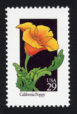 California Poppy United States Postage Stamp | Wildflowers