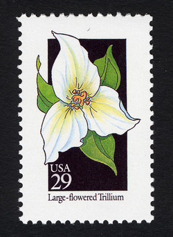 Large-flowered Trillium United States Postage Stamp | Wildflowers