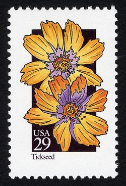 Tickseed United States Postage Stamp | Wildflowers
