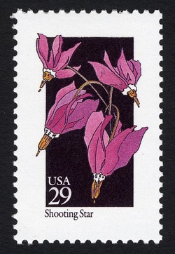 Shooting Star United States Postage Stamp | Wildflowers