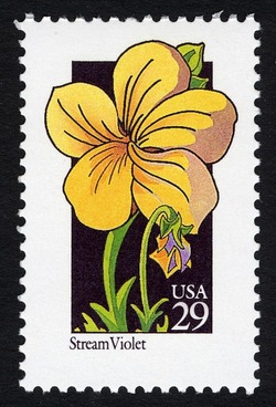 Stream Violet United States Postage Stamp | Wildflowers