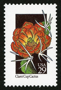 Claret Cup Cactus United States Postage Stamp | Wildflowers