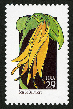 Sessile Bellwort United States Postage Stamp | Wildflowers