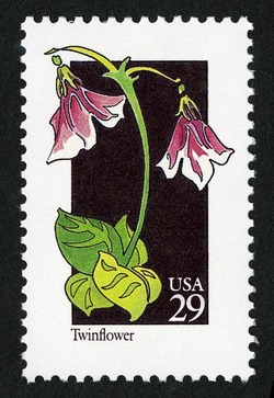 Twinflower United States Postage Stamp | Wildflowers