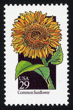 Common Sunflower United States Postage Stamp | Wildflowers