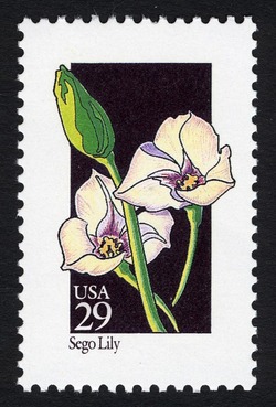 Sego Lily United States Postage Stamp | Wildflowers