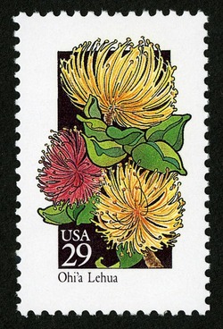 Ohi'a Lehua United States Postage Stamp | Wildflowers
