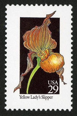 Yellow Lady's Slipper United States Postage Stamp | Wildflowers