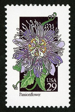 Passionflower United States Postage Stamp | Wildflowers