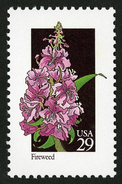 Fireweed United States Postage Stamp | Wildflowers