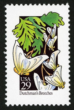 Dutchman's Breeches United States Postage Stamp | Wildflowers