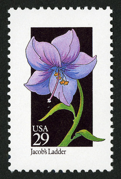 Jacob's Ladder United States Postage Stamp | Wildflowers