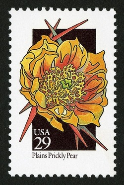 Plains Prickly Pear United States Postage Stamp | Wildflowers