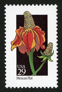 Mexican Hat United States Postage Stamp | Wildflowers