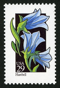 Harebell United States Postage Stamp | Wildflowers