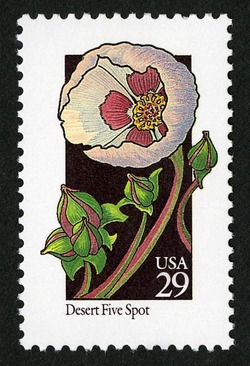 Desert Five Spot United States Postage Stamp | Wildflowers