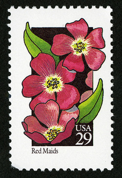 Red Maids United States Postage Stamp | Wildflowers