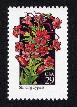 Standing Cypress United States Postage Stamp | Wildflowers