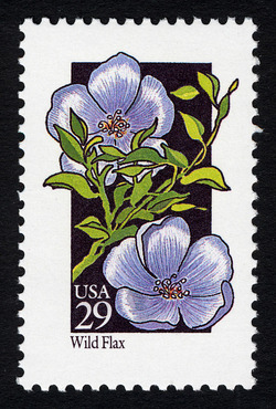 Wild Flax United States Postage Stamp | Wildflowers